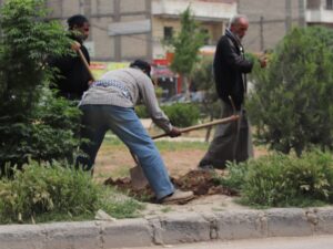 ريف حلب.. انطلاق حملة تشجير بعنوان "الأخضر يجمعنا" في منبج