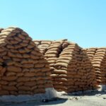 رئيس لجنة تسويق القمح: استلام 860 ألف طن من جميع المحافظات