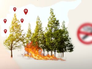 منصة "FIRMO" تحذر من ارتفاع خطر حرائق الغابات في عدة محافظات