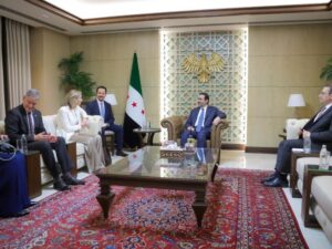 الشيباني وممثلة الاتحاد الأوروبي يبحثان تعزيز التعاون المشترك