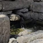بعد تسجيل إصابات بالتهاب الكبد.. إجراءات احترازية لضمان سلامة المياه في الزارة وتلكلخ بريف حمص