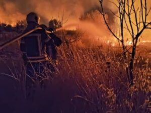 الدفاع المدني يخمد حريقاً زراعياً بين درعا والسويداء