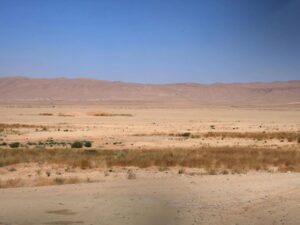 في اليوم العالمي لمكافحة التصحر.. استعادة الغطاء النباتي بـ 900 ألف غرسة مقاومة للجفاف