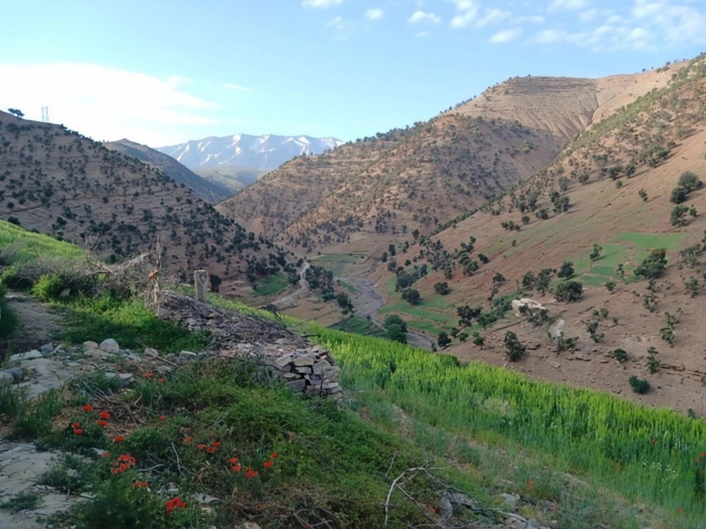 أجواء صيفية حارة نسبياً والحرارة أعلى من معدلاتها 