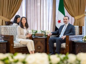 الشيباني يبحث مع وزيرة الدولة الألمانية تعزيز التعاون الاستثماري