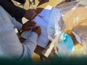 مؤسسة الحبوب تبدأ استلام محاصيل القمح عبر المنصة الإلكترونية في درعا