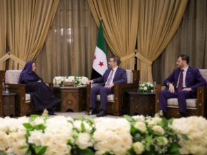 الشيباني يبحث مع منظمة التعاون الرقمي التنسيق بمجال التحول الرقمي