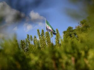 الحرارة أعلى من معدلاتها وليلاً يميل الجو للاعتدال بشكل عام