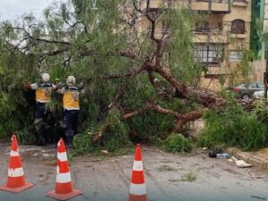 وزارة الطوارئ تستجيب لـ58 حالة طارئة جراء الاضطراب الجوي في 5 محافظات