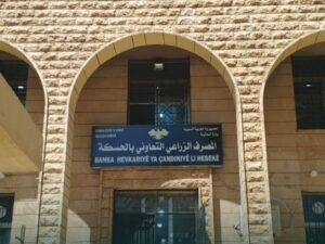 توزيع فواتير مستحقات محصول القمح على الفلاحين في المصرف الزراعي بالحسكة