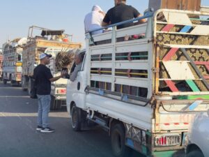 تضم أكثر من 400 عائلة.. عودة الدفعة الأولى لمهجّري رأس العين وقراها بريف الحسكة