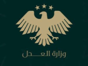 وزارة العدل للإخبارية: قانون مواجهة العنف الأسري خطوة متقدمة لحماية الضحايا وترسيخ أمان الطفل