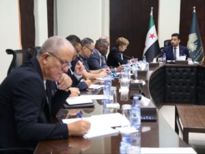 وزير الصحة يبحث مع منظمة الصحة العالمية آليات التعاون لدعم القطاع الصحي
