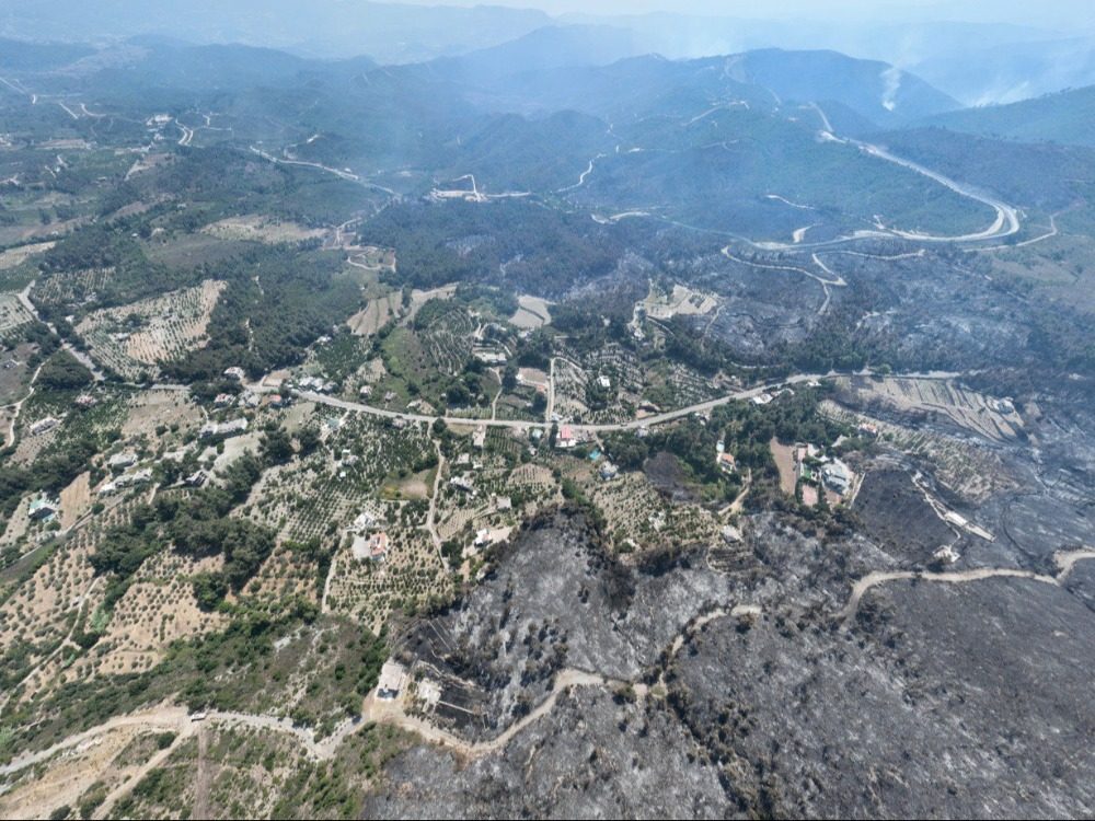 Latakia countryside