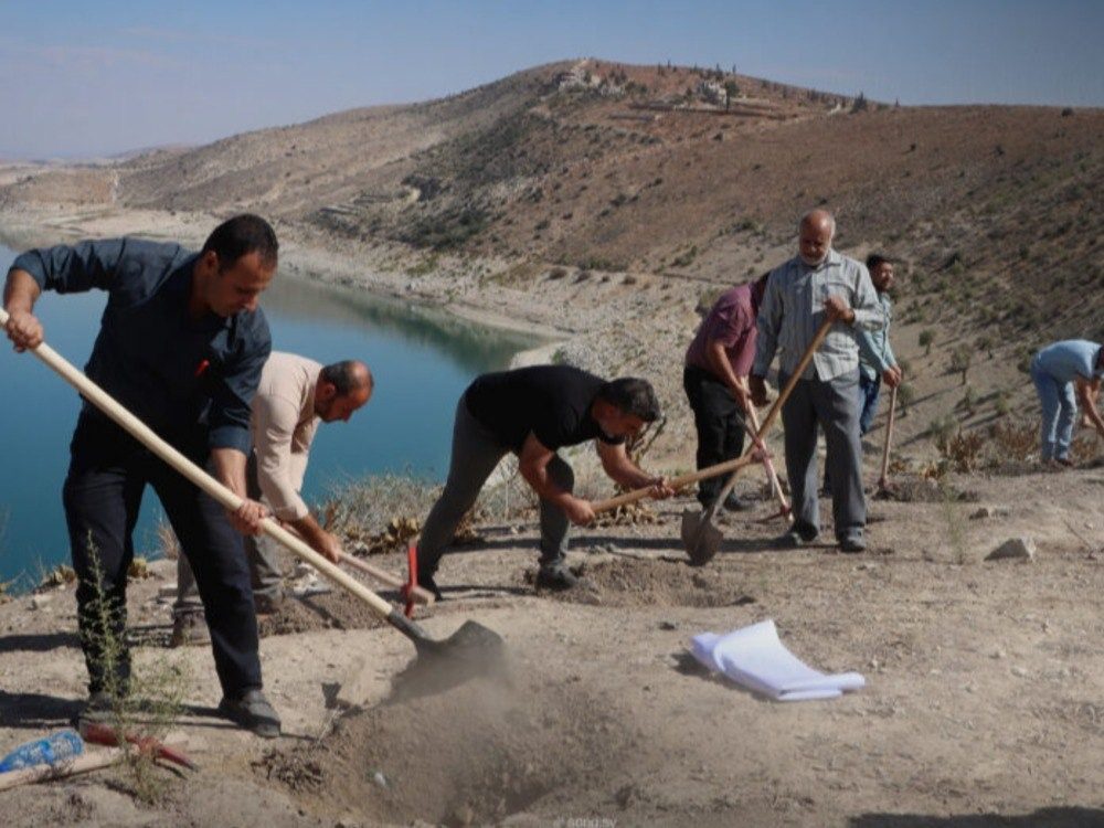 Afrin deserves it لإعادة تشجير غابات ميدانكي.. انطلاق المرحلة الأولى لحملة "عفرين بتستاهل"