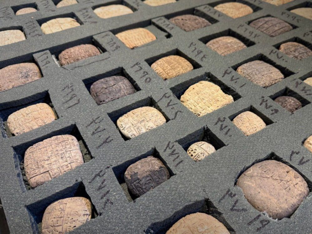 بالتعاون مع الأهالي.. إعادة أكثر من 1400 رقم وقطعة أثرية إلى متحف إدلب