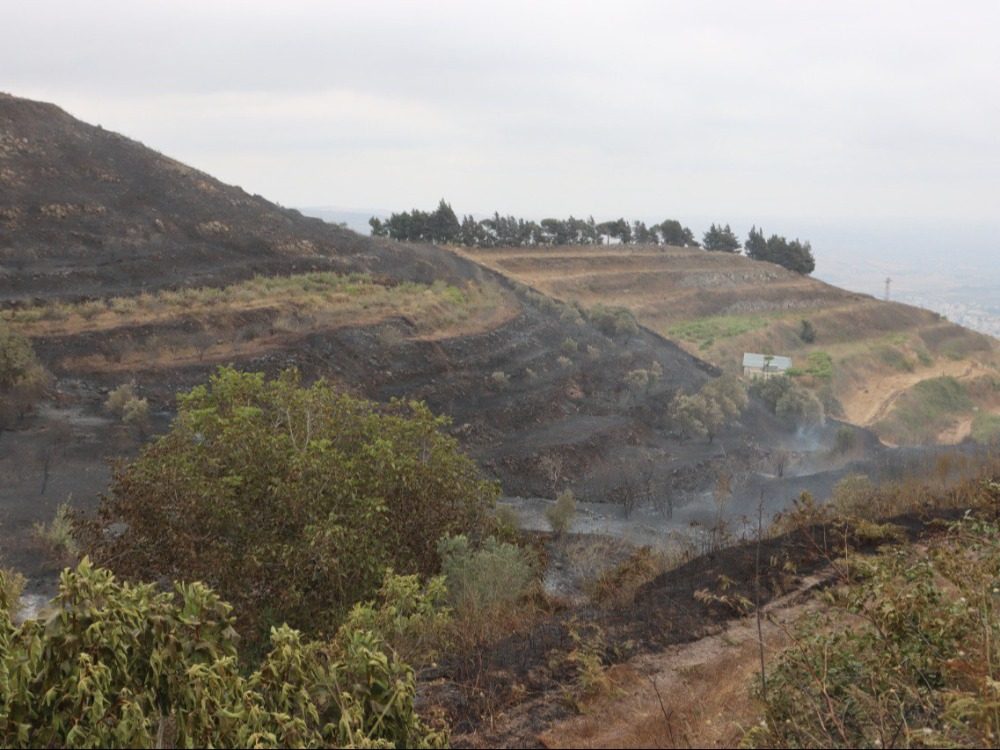 Civil Defense extinguishes a fire in the forests of the western Homs countryside.