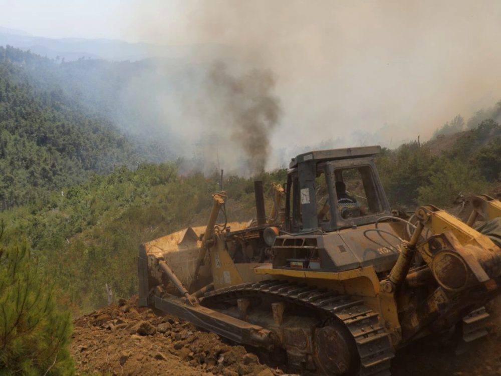 Fighting a fire in the Syrian coastal forests