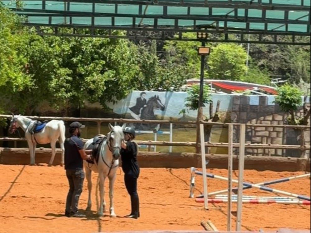 Manege syria