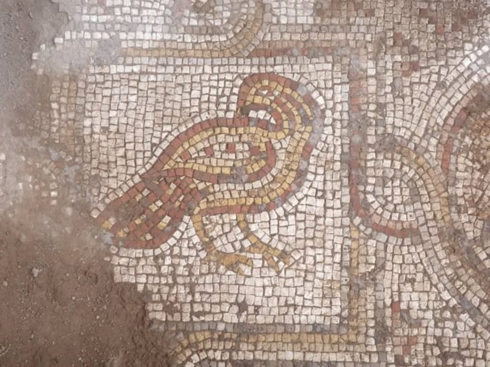 مديرية الآثار والمتاحف: اكتشاف لوحة فسيفسائية بريف دمشق