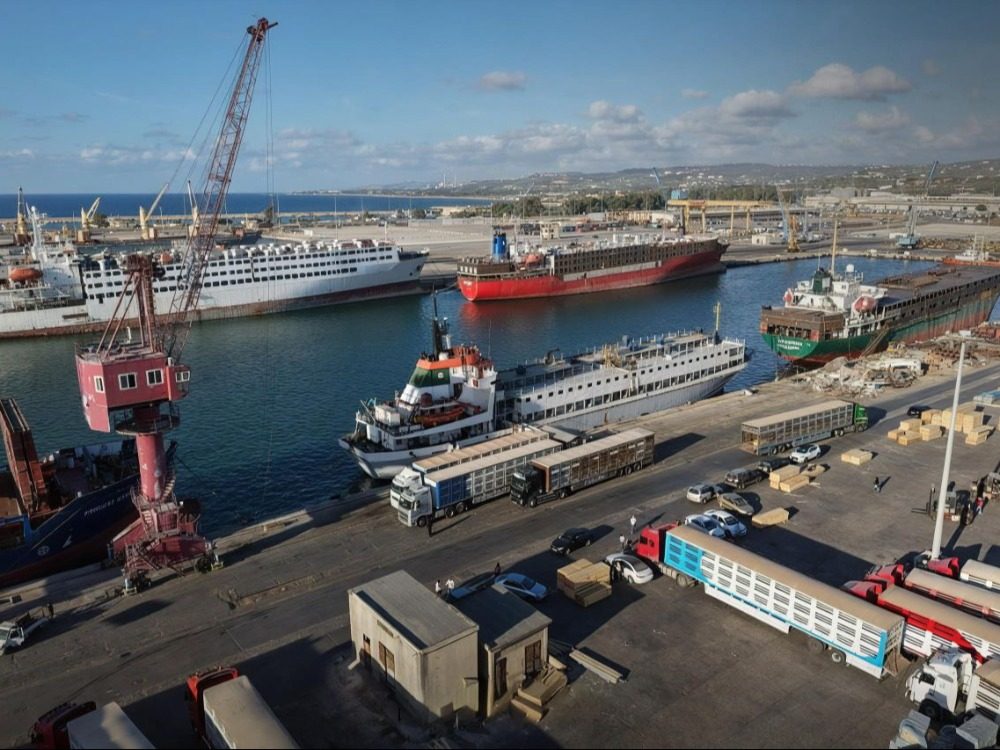 اللجنة الوطنية للاستيراد والتصدير تخفض رسوم استيراد المواشي