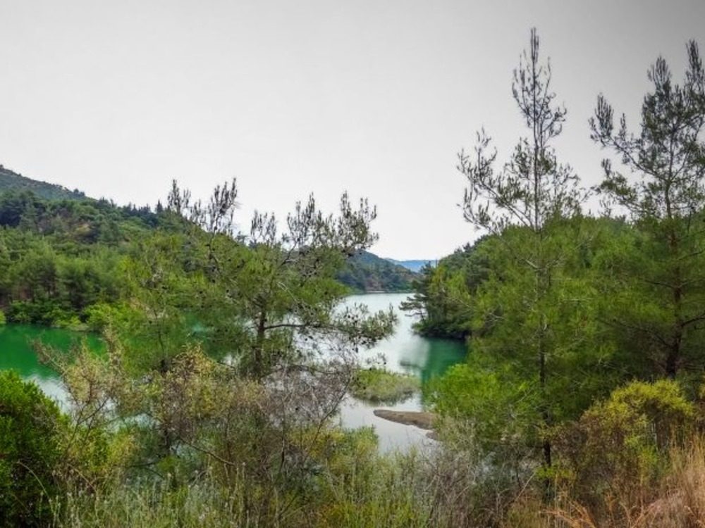 توقعات بهطولات مطرية ودرجات الحرارة أعلى من معدلاتها