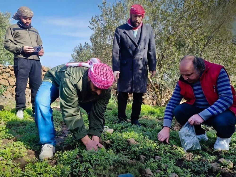طيران زراعي تابع للاحتلال الإسرائيلي يرش موادّ مجهولة فوق الأراضي في ريف القنيطرة