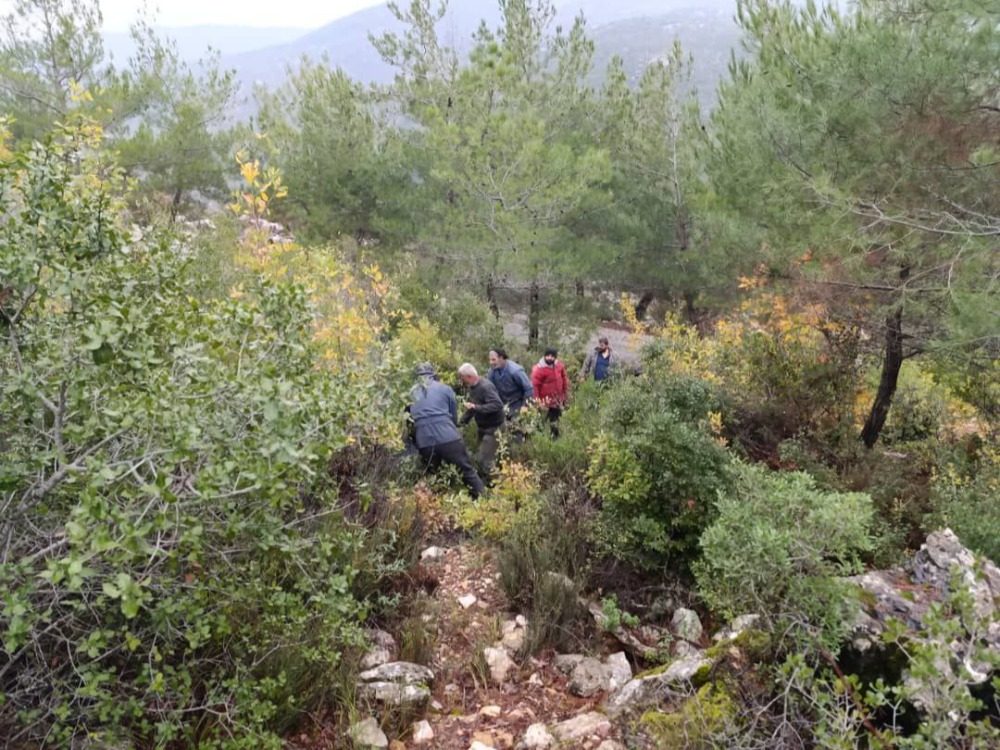 وزارة الزراعة: نعتزم توزيع كميات من الأخشاب والحطب على العائلات في المخيمات