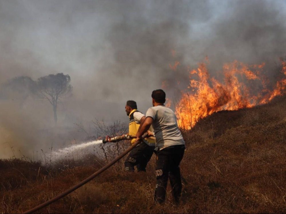 forest fires وزارة الطوارئ: أكثر من 9,600 حريق في سوريا خلال 9 أشهر
