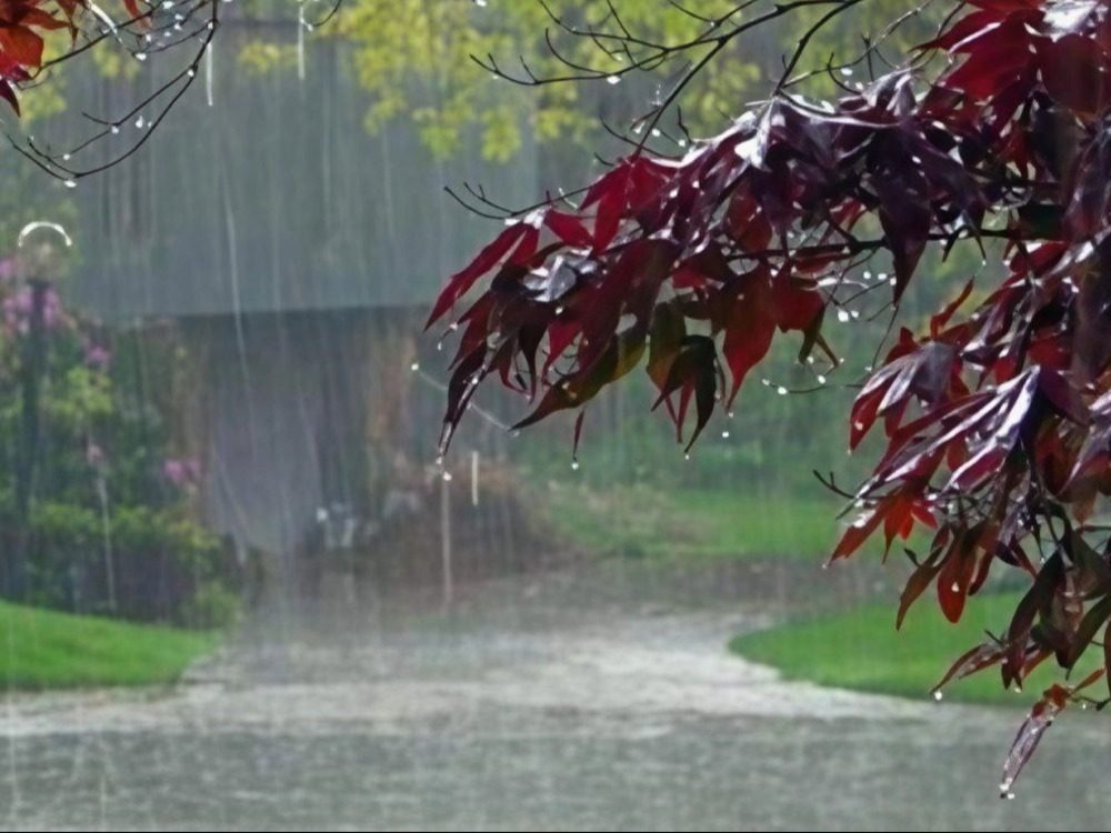 هطولات مطرية غزيرة وعواصف رعدية وتحذيرات من السيول