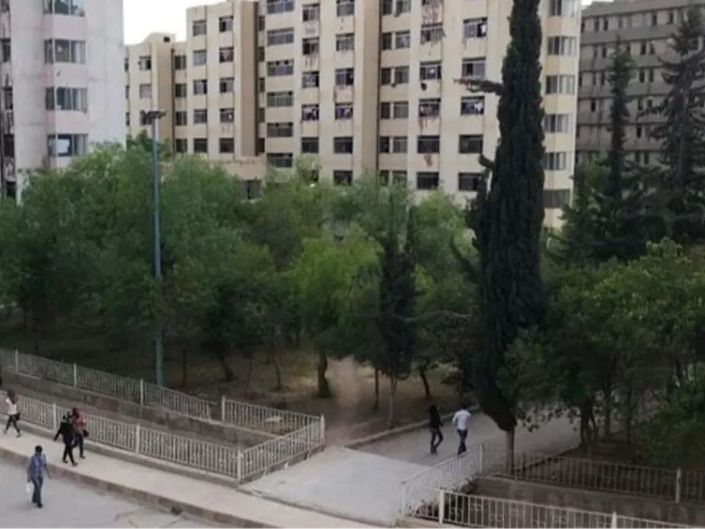 المدينة