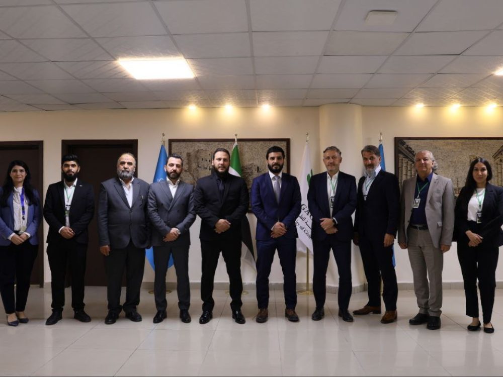 مباحثات لتفعيل حركة الطيران-الجوي-بين سوريا-وألمانيا